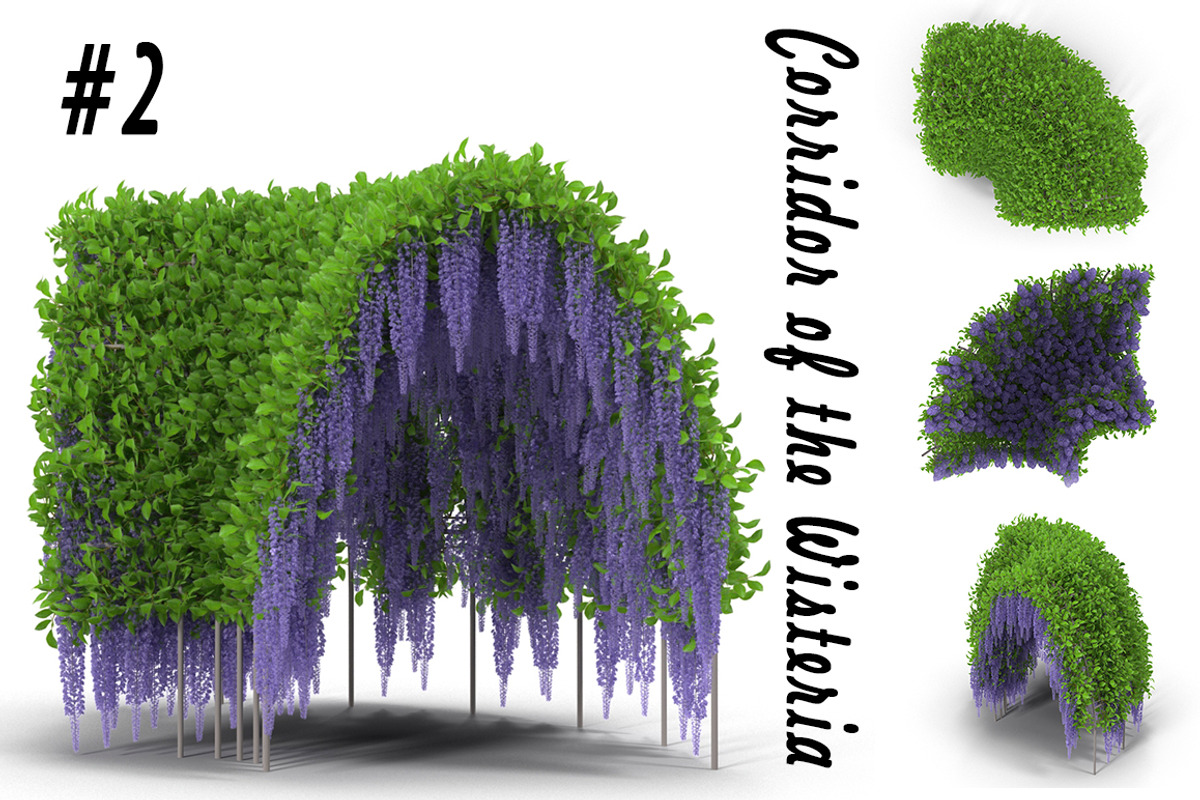 Wisteria Corridor#2, an Environmental 3D Model by AndrewWhite (Photo 1 of 8)