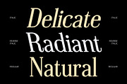 Broquet – Contemporary Font, a Serif Font by Craft Supply Co. (Thumbnail 3 of 8)