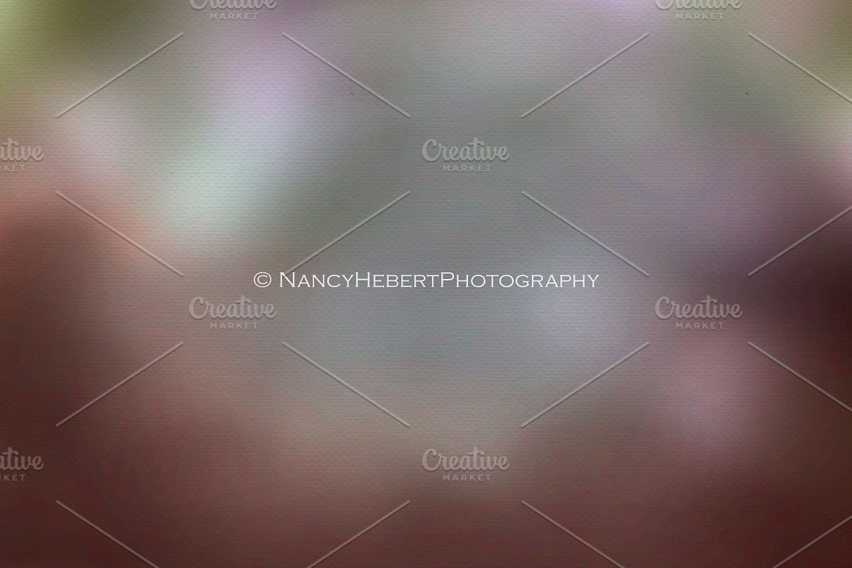 01 Fine Art Digital Texture/Overlay, a Texture Graphic by Nancy Hebert Photography