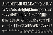 Rekbin - Modern Serif Typeface, a Serif Font by MaikoHatta (Thumbnail 4 of 7)