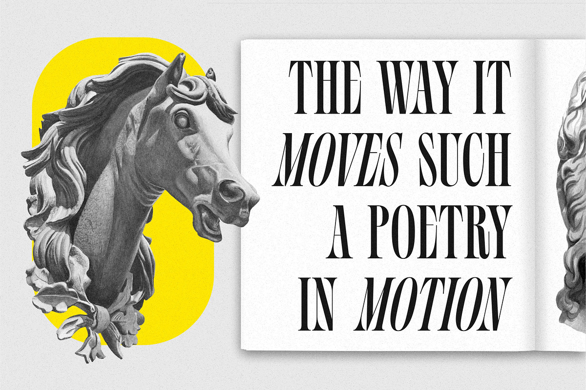 Silvermist Display Serif, a Serif Font by Letteralle Studios (Photo 6 of 9)