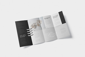 Roll-Fold Brochure Mockup - DL DIN