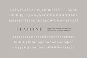 Flatline Sans Complete - 16 fonts, a Sans Serif Font by Up Up Creative (Thumbnail 4 of 10)