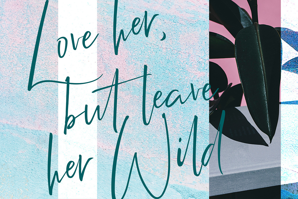 Relion Signature Script Font preview 5