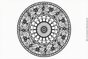 Mandala Floral Circle Pack, an Illustration by BIPLOB EXPERT (Thumbnail 5 of 9)