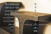 Vizille, a Serif Font by TeGeType foundry (Thumbnail 4 of 4)