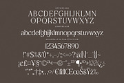 Metrolin Modern Serif Font, a Serif Font by Storytype Studio (Thumbnail 13 of 15)