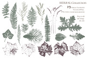 Herbal Design Kit: Vector & PSD, a Templates & Theme by Lumitar (Thumbnail 8 of 8)
