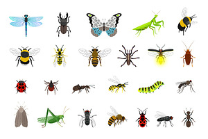 Cute Insects Collection