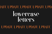 Black Goose Typeface - 5 fonts, a Serif Font by VP Fonts (Thumbnail 7 of 15)