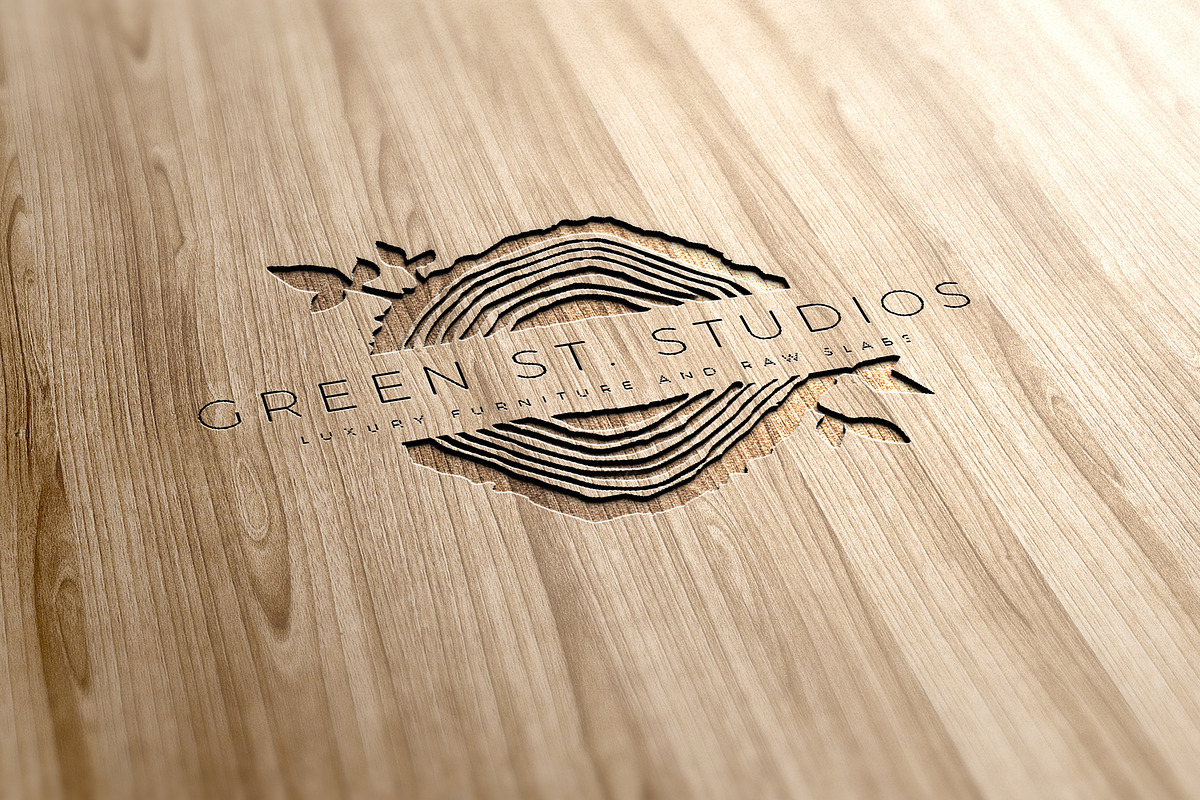 Tree Rings / Organic Logo Template 2, a Branding & Logo Template by Onyx Templates (Photo 7 of 7)