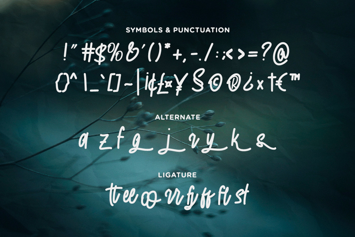 The End Story - Handwritten Font, a Script Font by Typefactoryco (Photo 3 of 10)