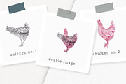 Hand drawn Chicken Illustrations, an Animal Illustration by Greek fonts by nantia.co (Thumbnail 2 of 6)