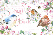 Watercolor Spring Birds Robin, an Illustration by Catherine Wheel (Thumbnail 1 of 11)