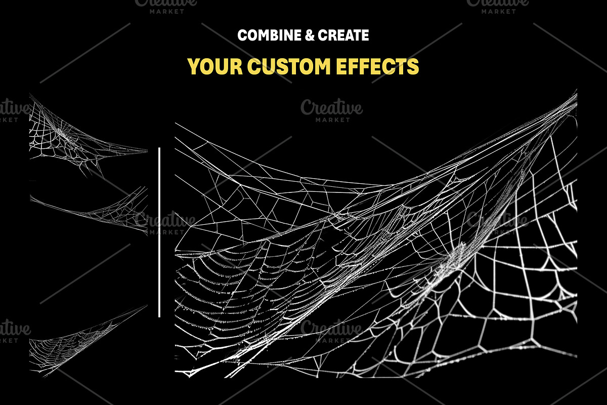 200+ Spider Web Overlays, a Nature Photo by Mikel Blazgad (Photo 6 of 10)