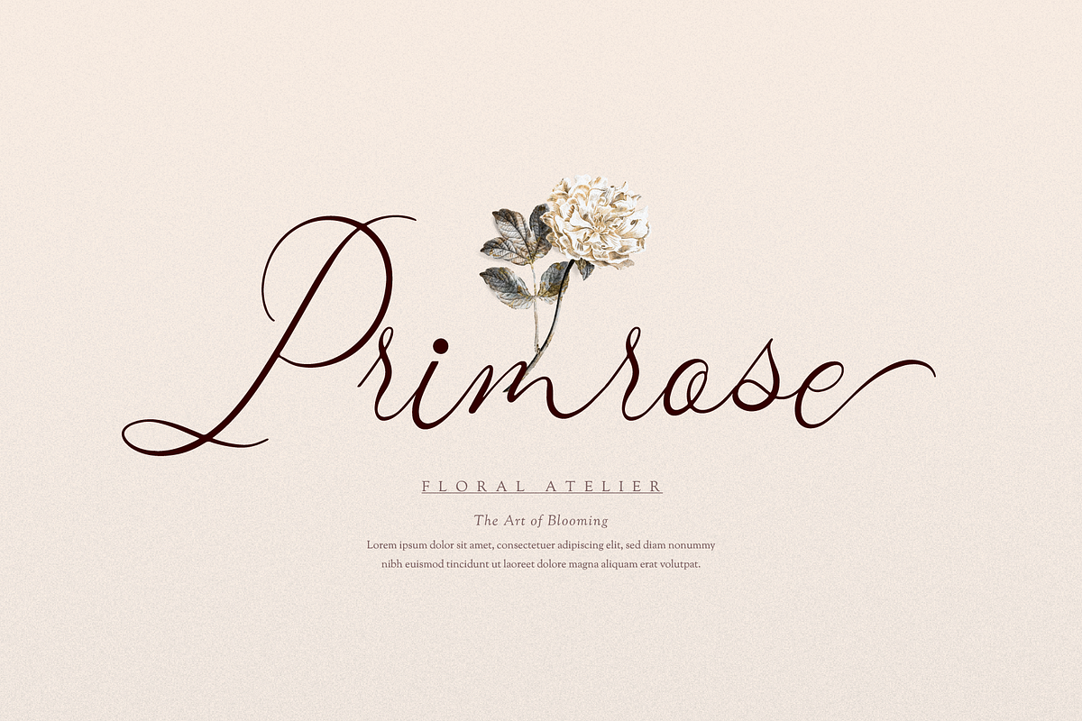 Mafuinka | Classic Calligraphy, a Script Font by gracetype_studio (Photo 3 of 12)