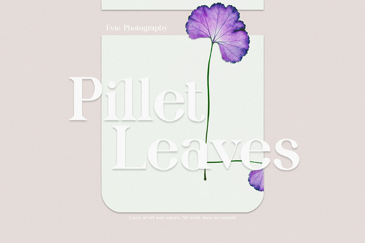 Kollera Ligature Serif Typeface, a Serif Font by Alfinart (Photo 10 of 11)