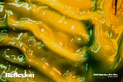 Reflexion Background Texture Vol I, a Texture Graphic by nicholasasmita (Thumbnail 4 of 10)