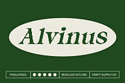 Alvinus Pixel, a Serif Font by Craft Supply Co. (Thumbnail 1 of 8)