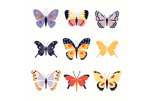 Set Various Colorful Butterflies