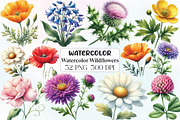 Watercolor Wildflowers Clipart, an Illustration by CraftArtStudio (Thumbnail 1 of 6)