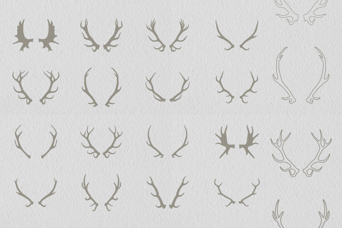 16 Deer antlers vector preview 2