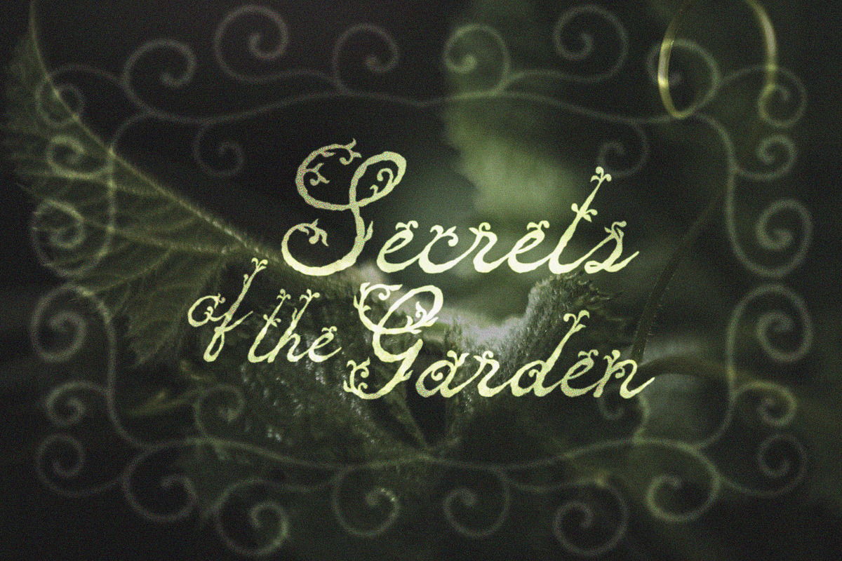 Faerie Charm Whimsical Floral Font, a Script Font by AnMark (Photo 9 of 14)