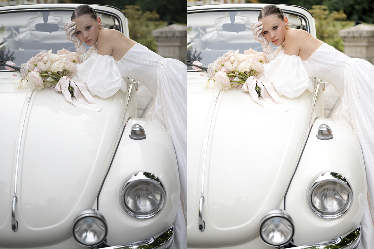 Presets Adobe Lightroom PURE COLOR, a Preset Add-On by Zaicev Lightroom presets (Photo 5 of 8)