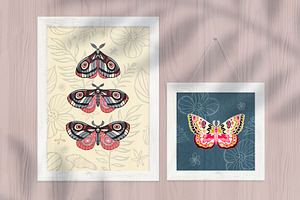 Night Moths, Butterflies Vector Set