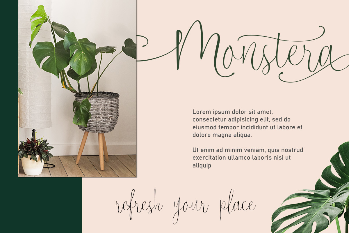 Lucky Spark Script, a Script Font by Letterhend Studio (Photo 5 of 10)