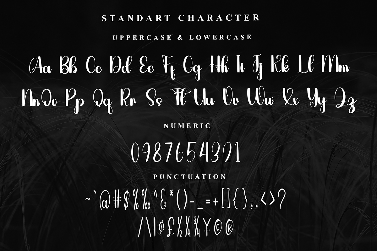 Lighting, a Handwritten Font by InermediaSTUDIO (Photo 7 of 7)