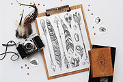 Mystic Autumn doodles and lettering, an Illustration by harmonia_green_art (Thumbnail 2 of 7)