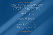 Dellyani, a Script Font by Integritype Studio (Thumbnail 6 of 8)