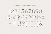Leony - Elegant Serif, a Serif Font by Tammami (Thumbnail 6 of 12)