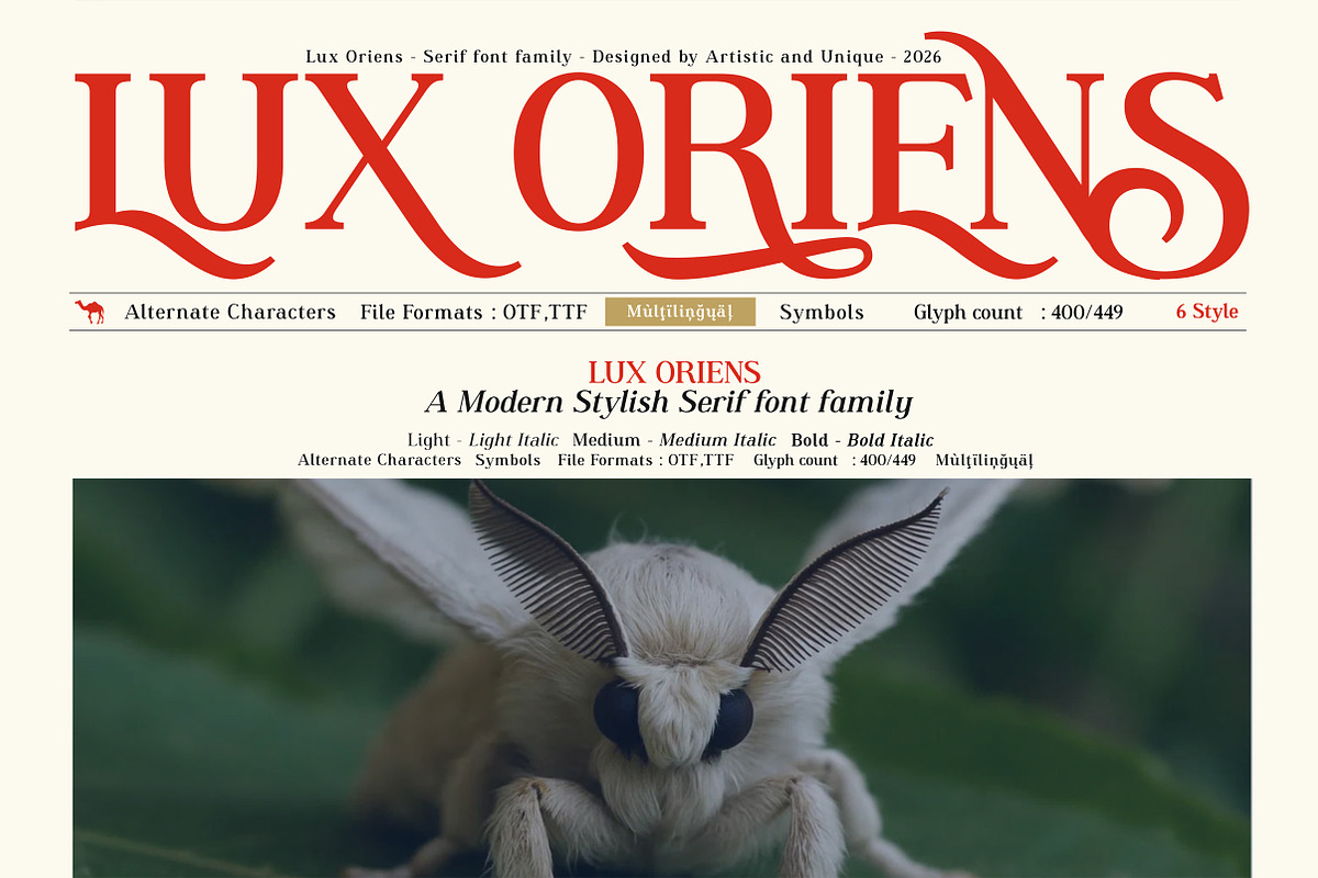 Lux Oriens - Serif Font Family, a Serif Font by Artistic & Unique (Photo 1 of 15)