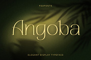 Angoba - Modern Luxury Serif Font, a Serif Font by Fedfonts (Thumbnail 1 of 7)