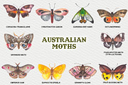 Australian Moths hand painted, an Animal Illustration by FITALARTSNEDIGI (Thumbnail 2 of 8)