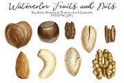 Watercolor Fruits and Nuts, an Object Graphic by cat_arch_angel (Thumbnail 3 of 6)