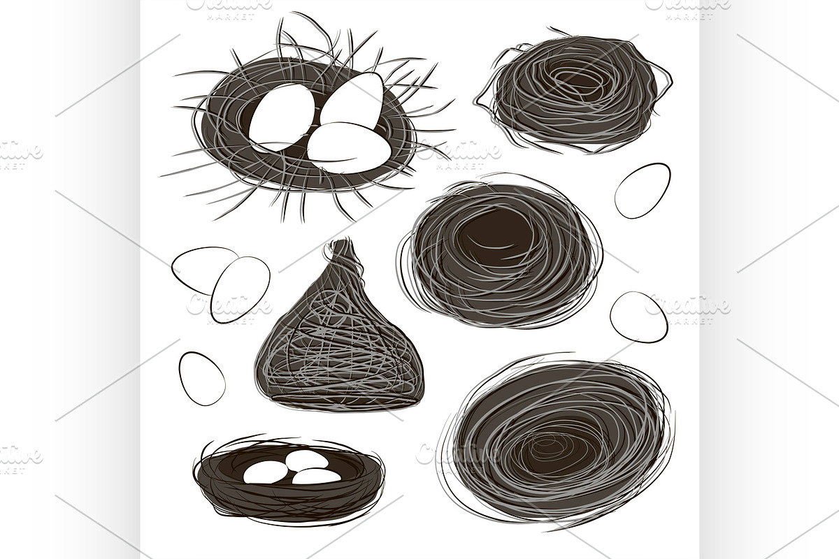 Nest set and hatching chicken., an Illustration by Netkoff