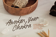 Written by Artist - Ligature Script, a Script Font by Sarid Ezra (Thumbnail 4 of 11)