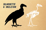 Vector Animal Skeletons Set, a Graphic by Catty Studio (Thumbnail 3 of 6)