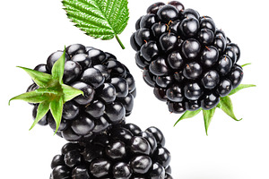 Three blackberries and blackberry leaf levitating on white backg, a Food & Drink Photo by Volff