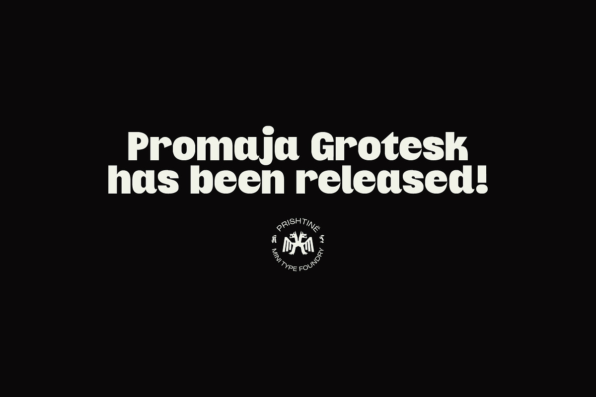 Promaja - Grotesk Type, a Sans Serif Font by Kulturë Type (Photo 9 of 9)