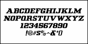 No Entry JNL, a Slab Serif Font by Jeff Levine Fonts (Thumbnail 5 of 5)