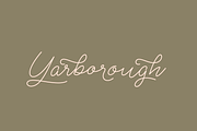 Shaker Script, a Script Font by Fenotype (Thumbnail 7 of 7)