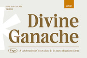 Hagios - Serif Family, a Serif Font by Novitype (Thumbnail 3 of 15)