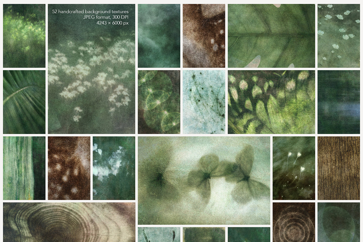 Understory Organic Backgrounds, a Background Graphic by alonahaidash (Photo 8 of 15)