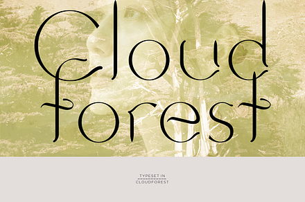 Cloudforest. Chic, modern serif font