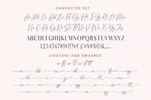 Bestaline - 5 Fonts & Ornaments