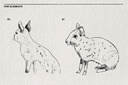 Sketches of the Mara animal in PNG, an Animal Illustration by LOKSKIH (Thumbnail 5 of 6)
